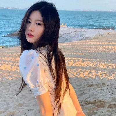 智叻狗仔队
